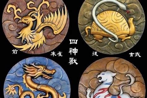 左青龍右白虎刺青|「青龍、白虎、朱雀、玄武」四聖獸的來龍去脈